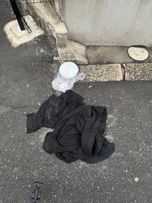 あいり