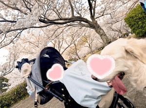 もえ