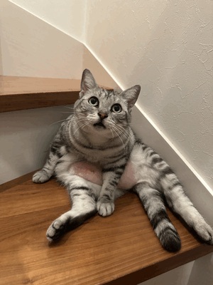 ななみ