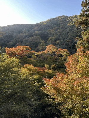 なの