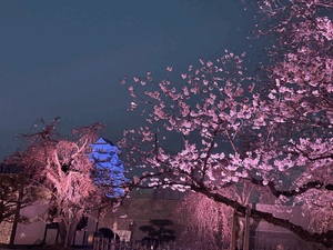 なの