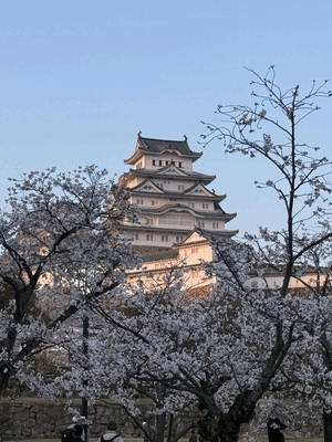 なの