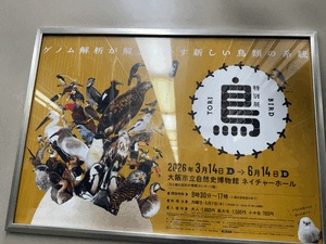 なの