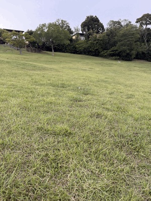 ひかり