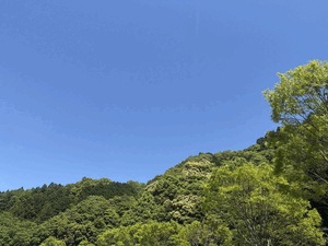 ひかり