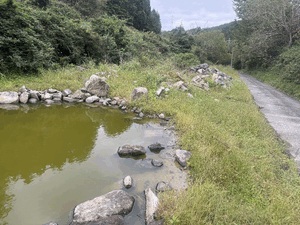 ひかり