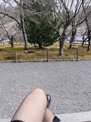 もか