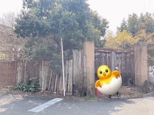 もか