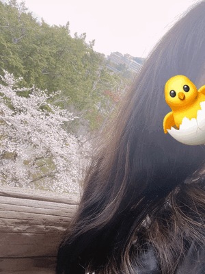 もか