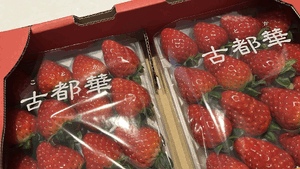 きこ