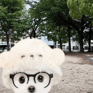 のぞみ