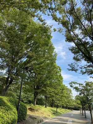 まみ