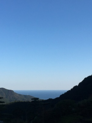 まみ