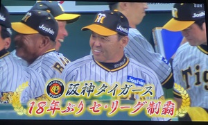 まみ