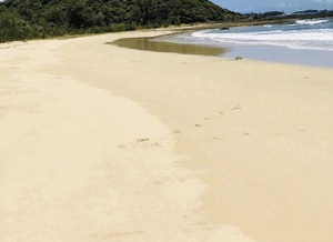 まみ