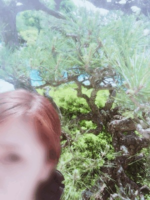まみ