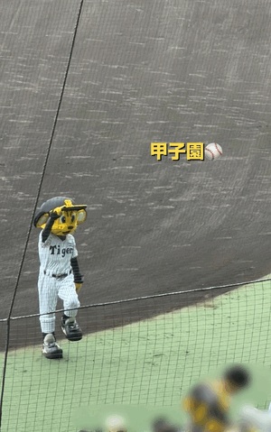 まみ