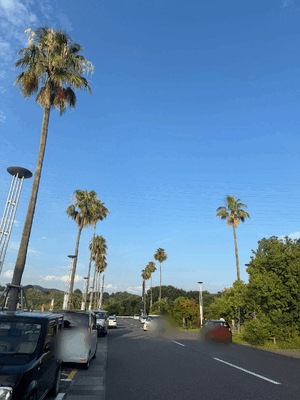 まみ