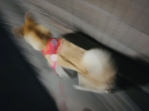 あすか