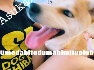 あすか