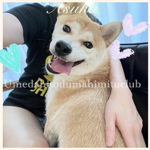 あすか