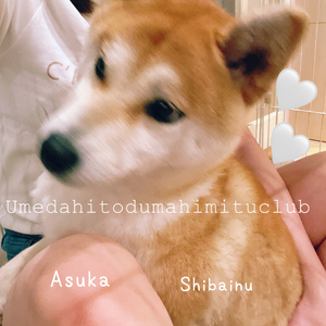あすか