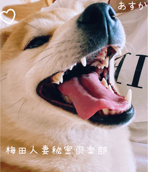 あすか