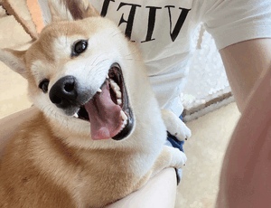 あすか