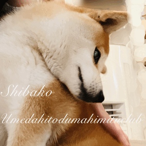 あすか