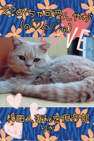 りさ