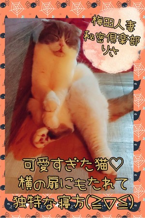 りさ