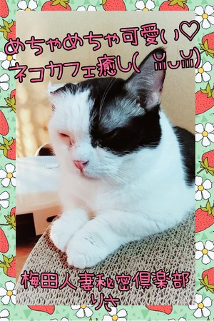 りさ