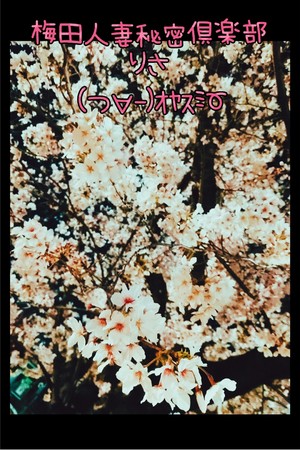 りさ