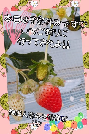 りさ