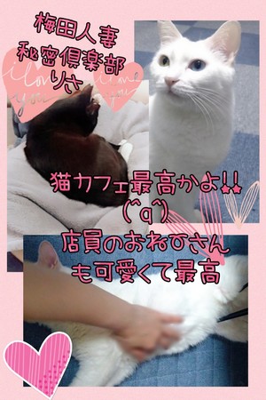 りさ
