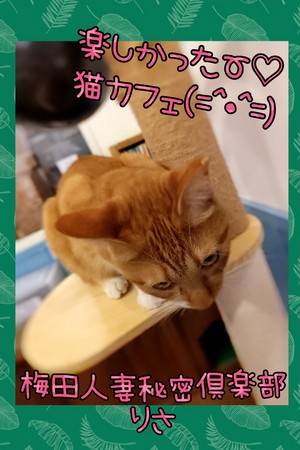 りさ