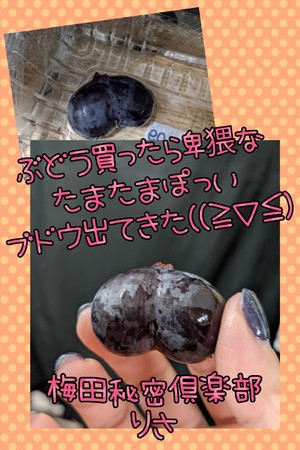 りさ