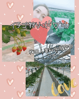 りさ