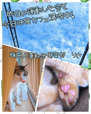 りさ