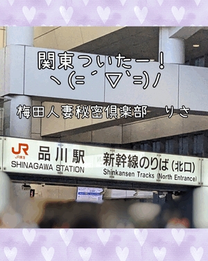 りさ