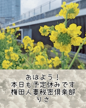 りさ