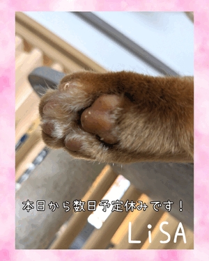 りさ