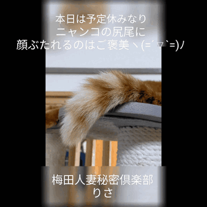 りさ
