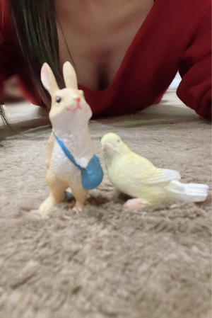 みゆき