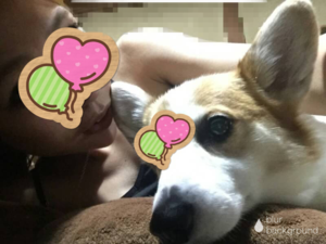 まい