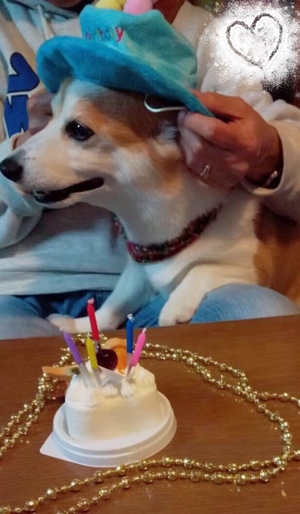 まい