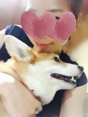 まい