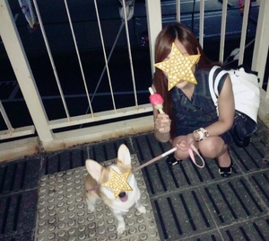 まい