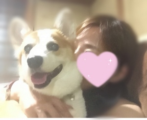 まい