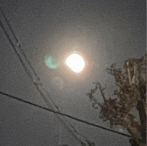 まい